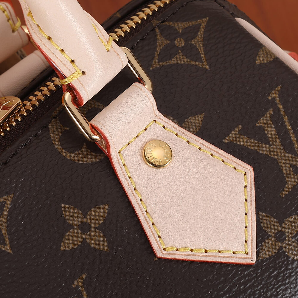 CELINE TEEN NINO BAG IN TRIOMPHE CANVAS