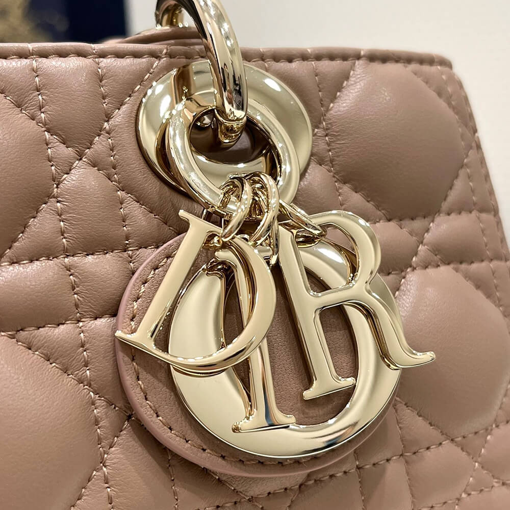 Dior Safari Bag with Strap(HIGH-END GRADE)