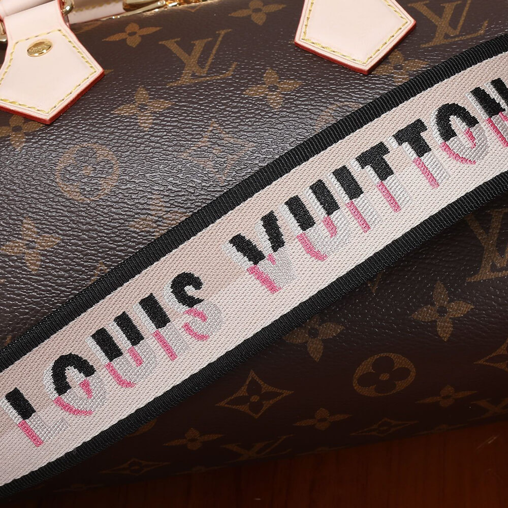 CELINE TEEN NINO BAG IN TRIOMPHE CANVAS